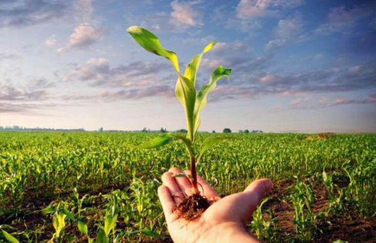 Nuovi equilibri nelle filiere: gli agricoltori affermano qualità e&nbsp;territorio