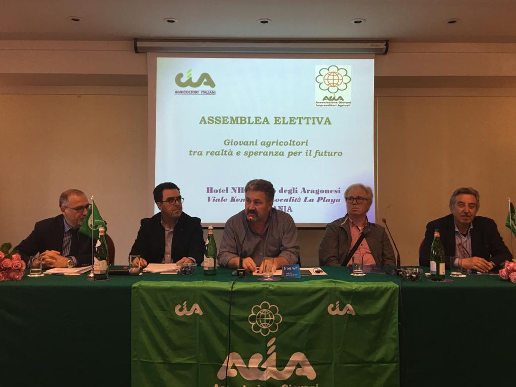 WhatsApp Image 2018-05-08 at 08.17.28.jpeg