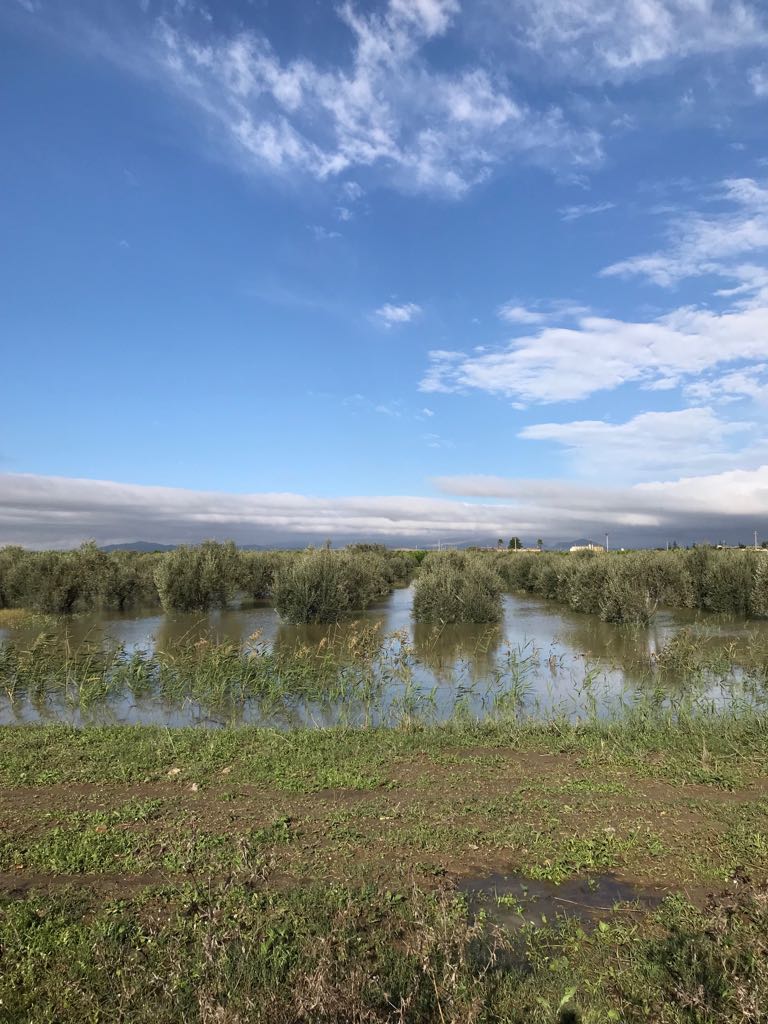 WhatsApp Image 2018-10-19 at 12.51.26