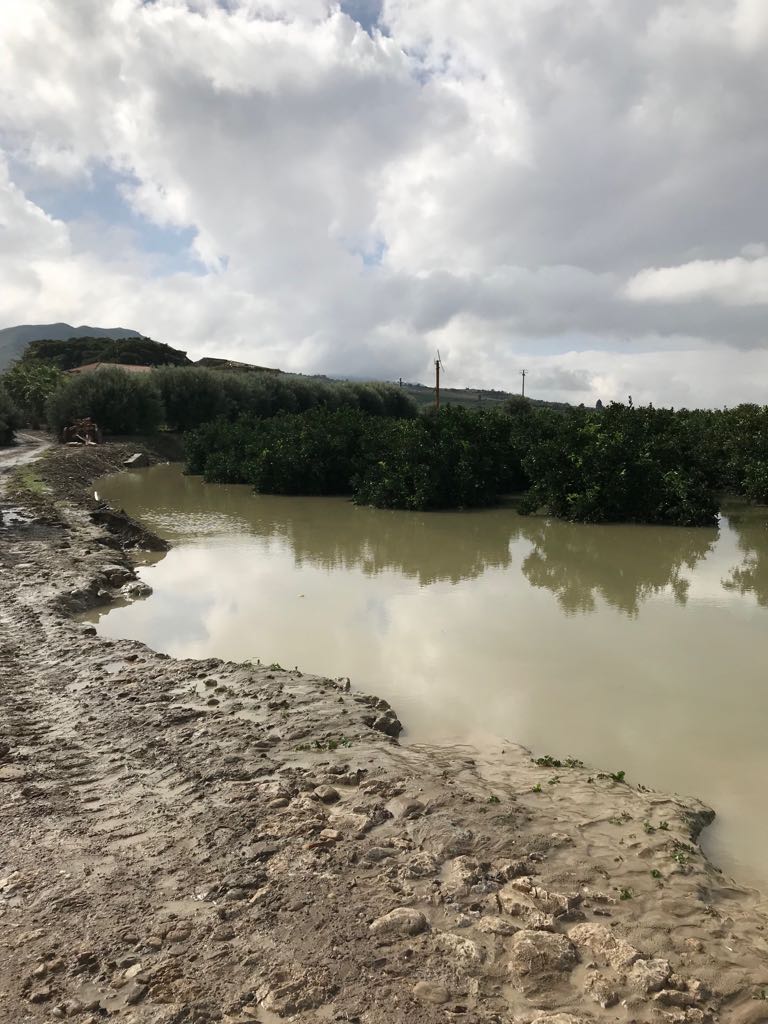 WhatsApp Image 2018-10-19 at 15.23.34