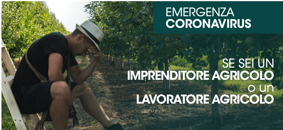 Schermata 2020-03-25 alle 15.25.30.png