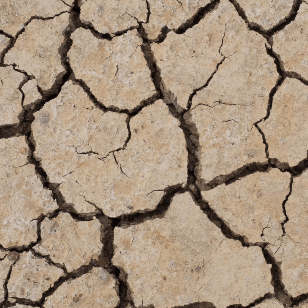 Dramma siccità, ultima chiamata: aziende vicine alla&nbsp;chiusura