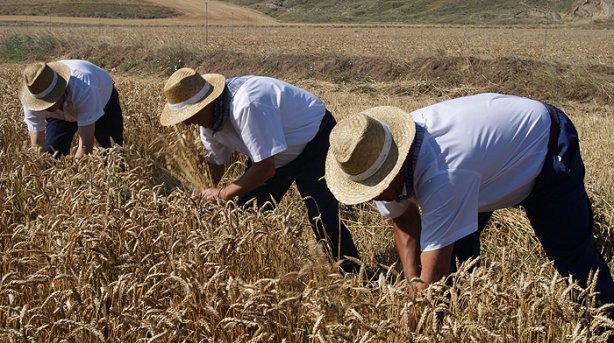 Festa del Grano. convegno “Qualità E&nbsp;Mercato”