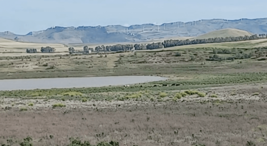 Stagione irrigua. Segnale positivo la decisione assunta dalla Cabina di Regia&nbsp;Regionale